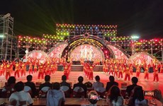 第八届越南传统武术国际节吸引世界各国和地区的数千名武术爱好者的参与