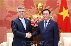 伊朗驻越南大使：进一步推动越伊关系向纵深方向发展