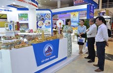 2023年岘港东西经济走廊贸易旅游和投资国际博览会开幕