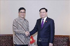 越南国会主席王廷惠会见印度尼西亚工商会会长