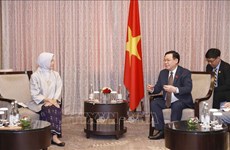 越南国会主席王廷惠会见印尼财政稽查署署长