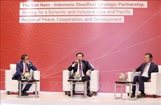 越南国会主席王庭惠：以三个“统一”为东盟灵活、创新行动的稳坚基础