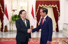 越南国会主席王廷惠会见印尼总统佐科·维多多