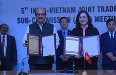 越南与印度贸易联合委员会第五次会议在印度举行