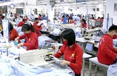 越南劳动荣军与社会部：充分开拓欧洲劳务市场 