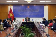 越南与乌拉圭建交30周年：开启双边关系新篇章