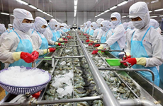 越南农林渔业多种商品降低出口目标