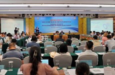 国际专家与越南分享数据生态系统管理经验