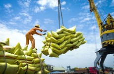 越南工贸部就拓展大米出口市场，维护国内市场稳定作出指示