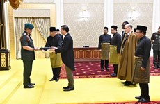 马来西亚国王：马来西亚高度重视发展与越南的友好关系