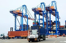 越南各企业充分利用FTA带来的机遇积极发展经济