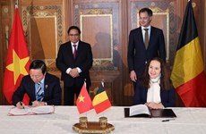 进一步深化越南与比利时合作关系