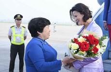 比利时参议院议长斯蒂芬妮·德霍斯抵达河内  开始对越南进行正式访问