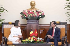 越南外交部长裴青山会见比利时参议院议长斯蒂芬妮·德霍斯