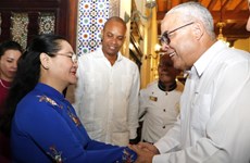 胡志明市与哈瓦那加强友好合作关系