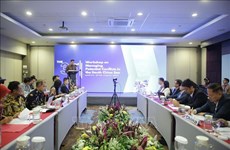 越南在印尼举行的管理东海潜在冲突研讨会上积极发言