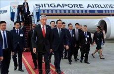 新加坡总理李显龙抵达河内  开始对越南进行正式访问