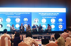 越南塑料废物管理中性别平等和全面发展问题研讨会在河内举行