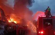 8·31菲律宾奎松火灾事故致15人死亡
