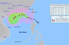 越南今年第三号台风来袭 东海以北海域风力16级 阵风17级以上