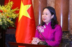 越南驻莫桑比克大使：越南与莫桑比克合作潜力巨大