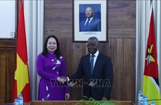 越南国家副主席武氏映春与莫桑比克总理举行会谈