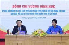 第九届全球青年议员大会：越南青年为数字化转型打造亮点