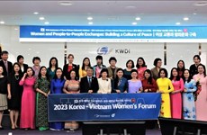 第十次越韩妇女论坛在首尔举行