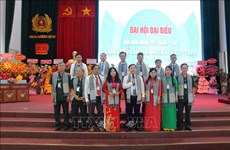 越南与老挝加强民间外交工作深化越老友谊