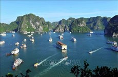 越南下龙湾-吉婆群岛被列入世界自然遗产名录