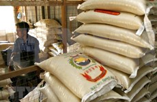 印度尼西亚增加大米进口 提高大米储备