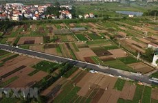 河内市出台农业集中产区规划方案