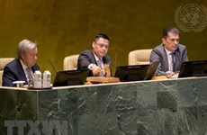 邓黄江大使：越南积极主动和更加有效地参加联合国的共同事务