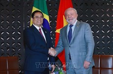 巴西驻越大使：范明政总理访巴将为两国多领域合作开辟机遇