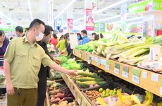 胡志明市成立食品安全局