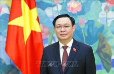 促进越南与孟加拉国传统友好合作关系