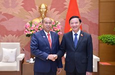 进一步深化越南与老挝国会之间的务实合作