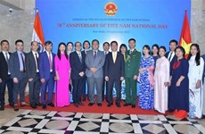 印度高级外交官：越南是印度在印太地区的重要伙伴