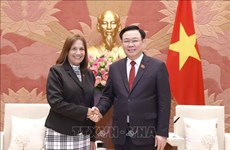 越南与古巴的特殊友谊：国际关系的典范