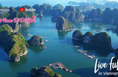 越南旅游业主动实施数字化转型以把握发展趋势
