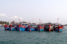 越南广义省坚决打击IUU捕捞行为