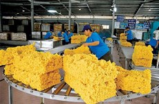 2023年前9月越南橡胶出口额达约18.9亿美元