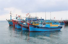 解除IUU黄牌警告：越南多省加大打击非法捕捞力度  为EC第四次检查做好准备