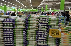 菲律宾与马来西亚多措并举 稳定大米市场