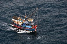 越南政府总理：重点落实紧急任务 打击非法捕捞行为
