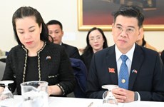 胡志明市人民议会代表团访问澳大利亚和新西兰