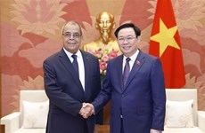越南国会主席王廷惠会见阿尔及利亚制药部长阿里·奥恩
