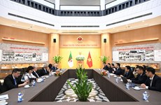 越南与阿尔及利亚贸易、工业和能源领域合作潜力巨大