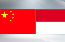 印度尼西亚和中国同意加强贸易与投资合作