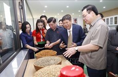 国会主席王廷惠实地考察山罗咖啡种植区和出席山罗咖啡加工厂竣工剪彩仪式